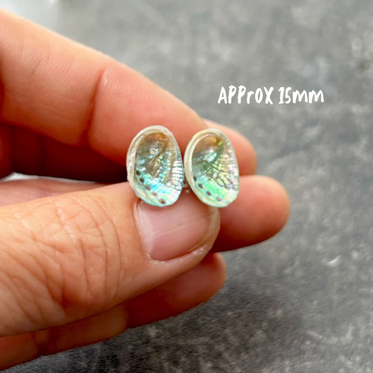 SS35 Tiny Farm Paua Shell Stud Earrings