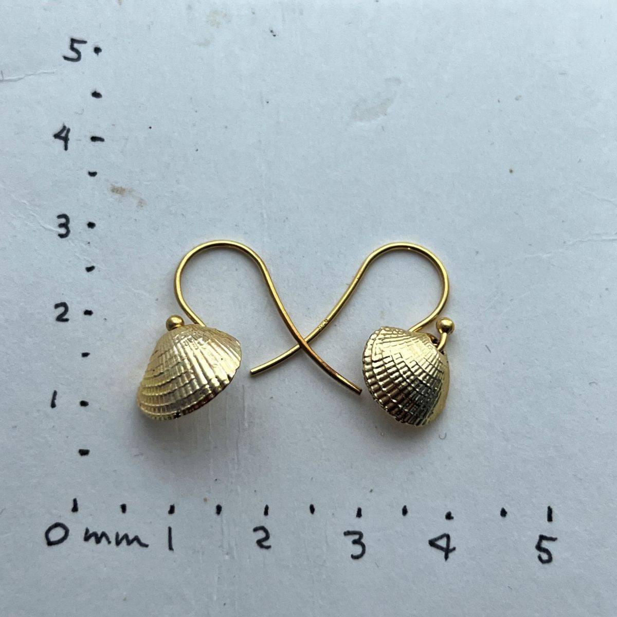 Surf Clam Tuangi Cockle Gold Dipped French Hook Earrings 1