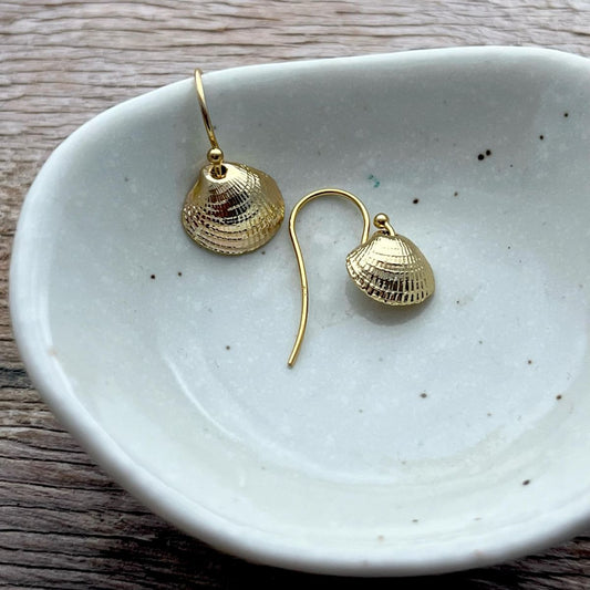 Surf Clam Tuangi Cockle Gold Dipped French Hook Earrings 1