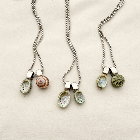 Miniature Shell Pair Necklace – Nostalgem Soft Light