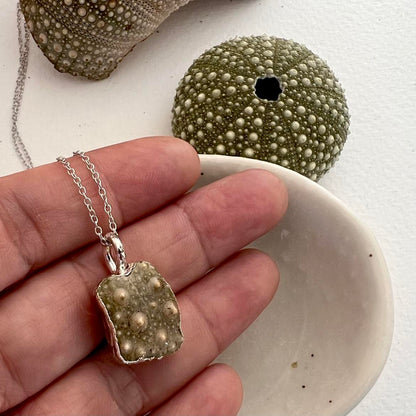 Kina Sea Urchin Shell Fragment Metamorphic Beauty Necklace