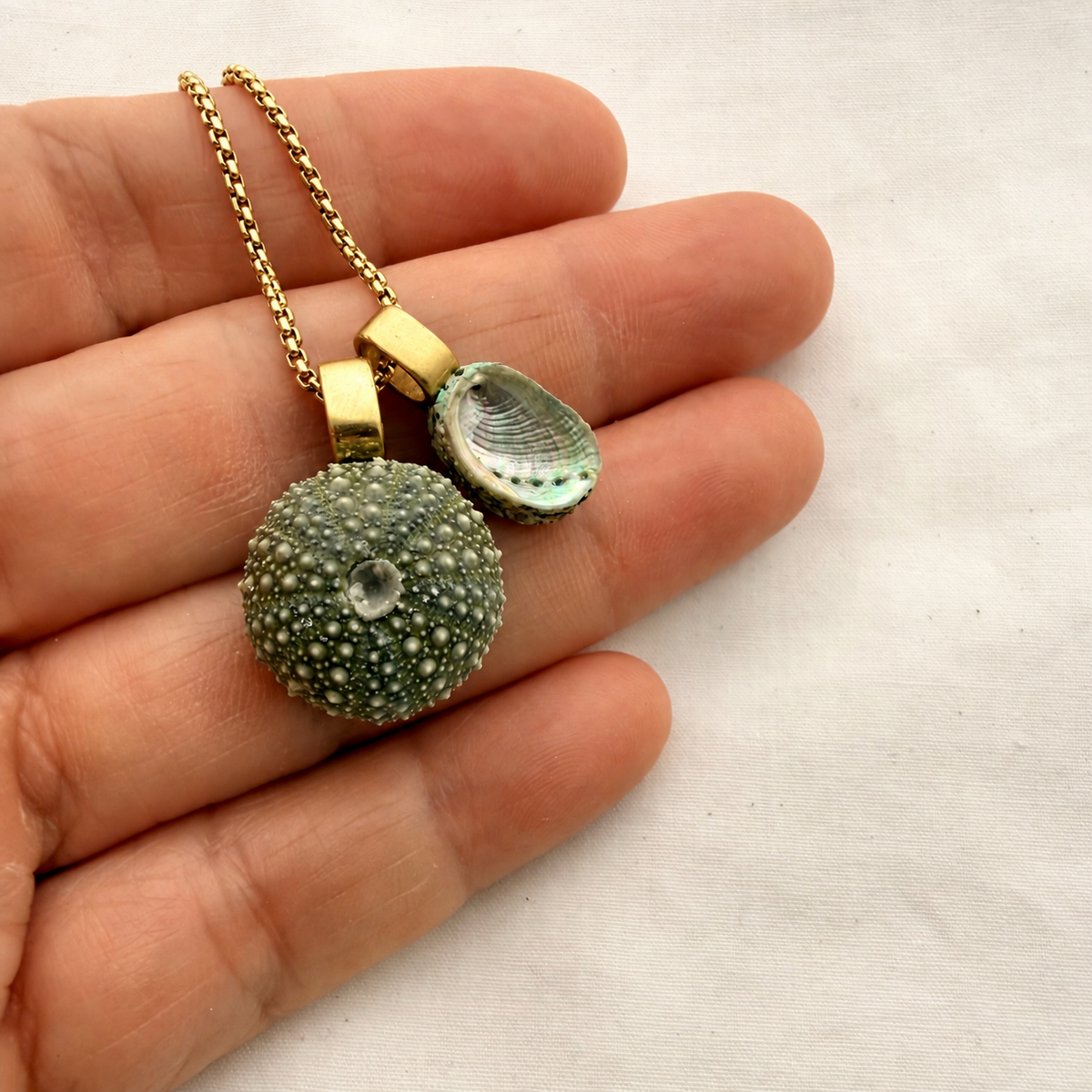 Kina + Pāua (Medium) necklace in gold, shown on a hand