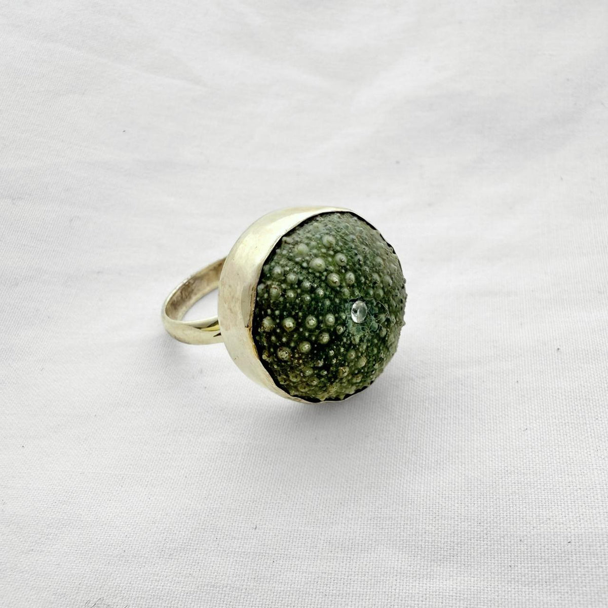Whole kina shell sterling silver ring with cubic zirconia, handmade jewellery