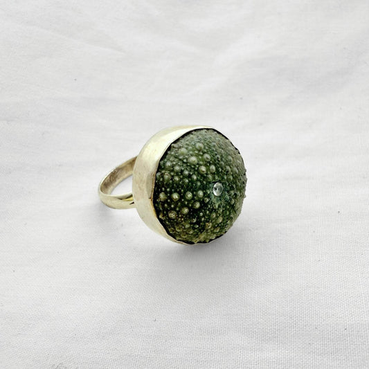 Whole kina shell sterling silver ring with cubic zirconia, handmade jewellery