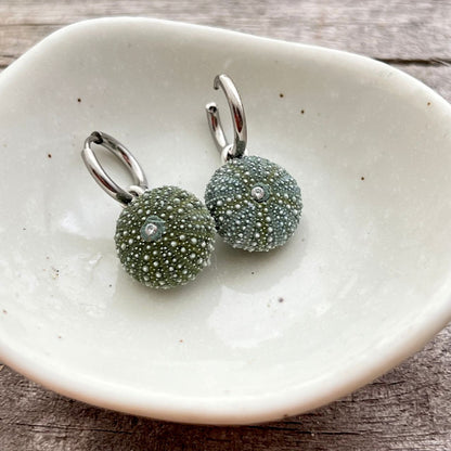 Tiny Whole Kina Sea Urchin Shell Round Hoop Earrings