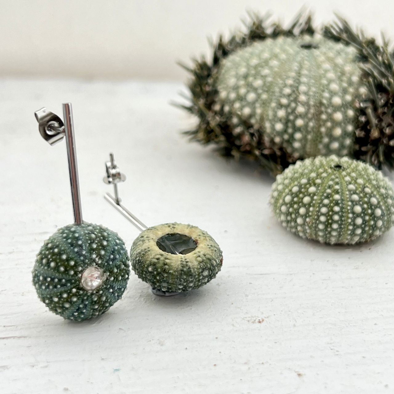 Tiny Whole Kina Sea Urchin Shell Pole Earrings