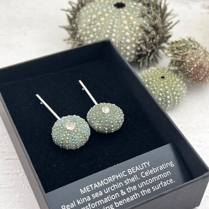 Tiny Whole Kina Sea Urchin Shell Pole Earrings