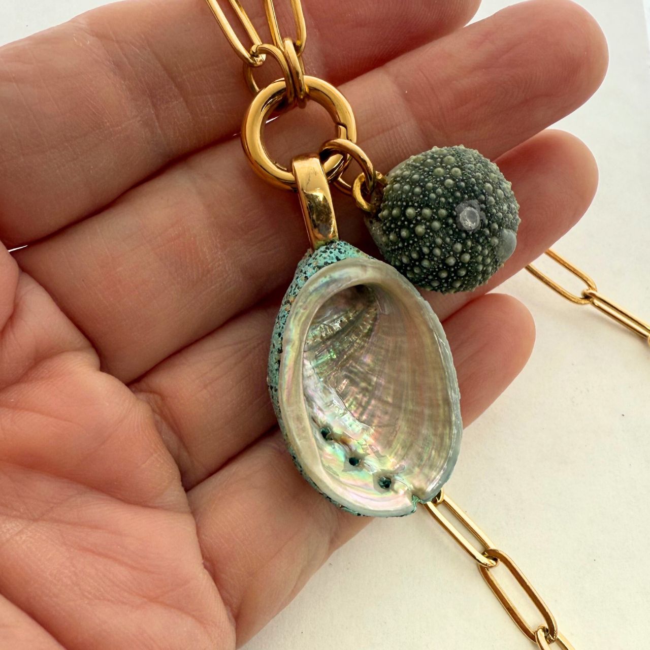 Statement Paua & Kina Shell Pair Charm Holder Necklace