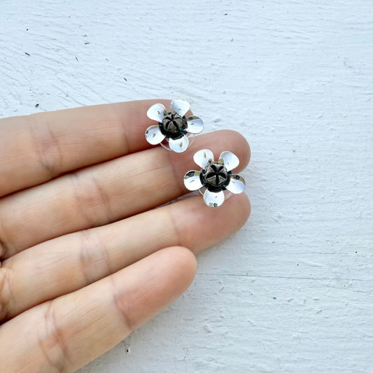 Manuka Pod Stud Earrings