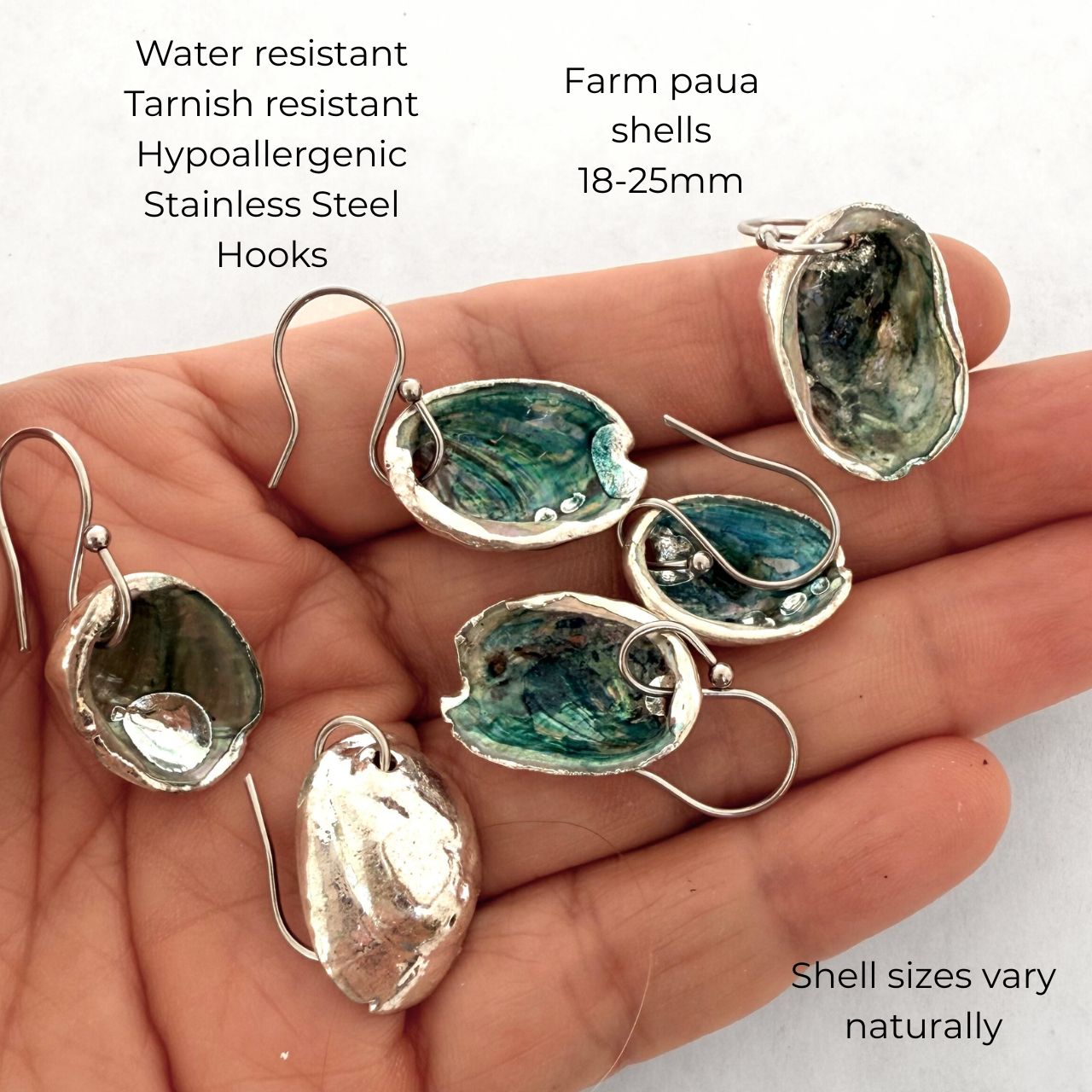 Paua shell hook earrings close-up showing silver-plated backing