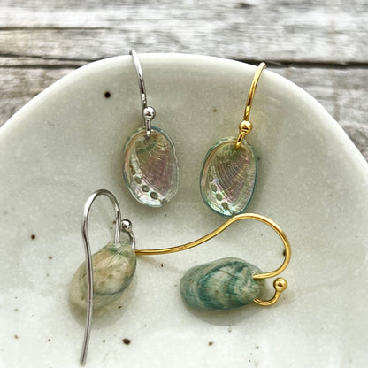 BCFM Early Bird Day 1 (18 Nov): (PA14) Paua Shell 15mm Sterling Silver French Hook Earrings w/o Box