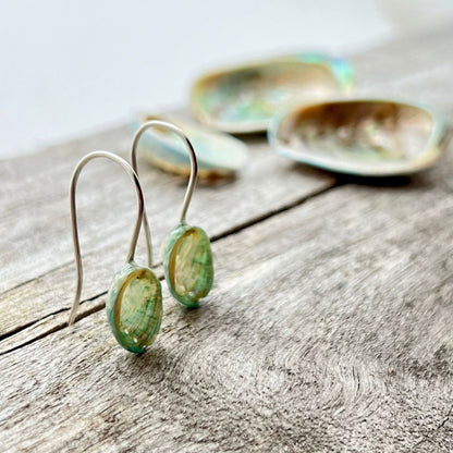 Paua Shell French Hook Earrings (Lacquered)