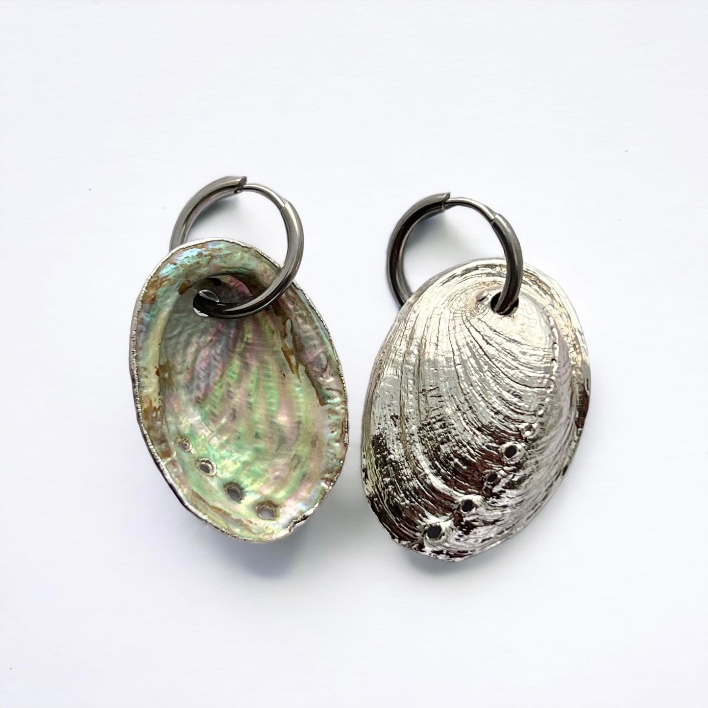 Paua Large Shell Hoop Earrings