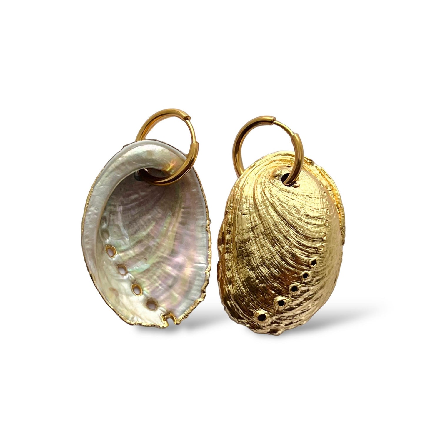 VIP ONLY - Paua Large Shell Hoop Earrings