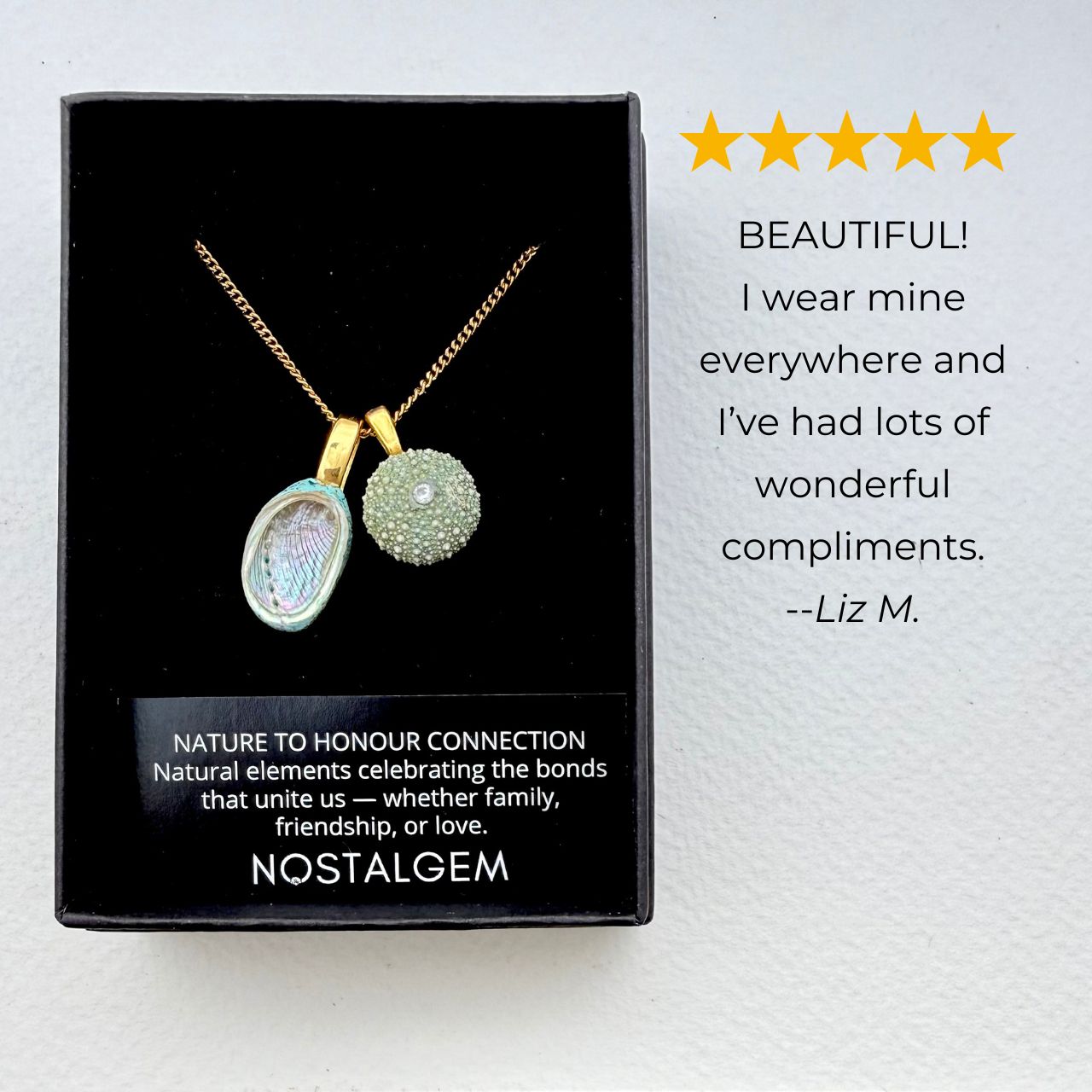 Paua & Kina Shell Pair Necklace (BEST SELLER)