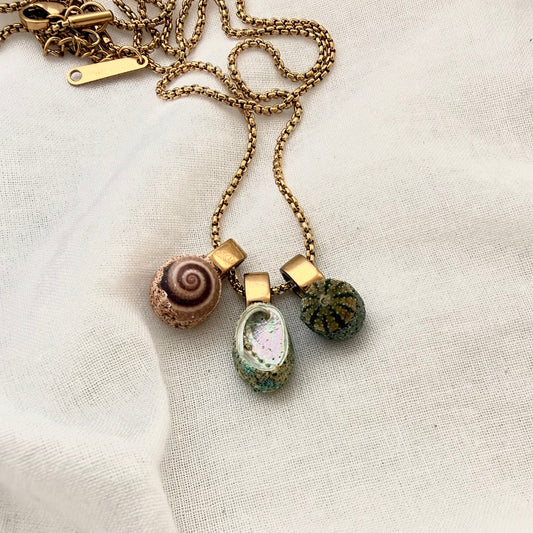 Tiny paua wheel and kina shell trio necklace, handmade New Zealand jewellery