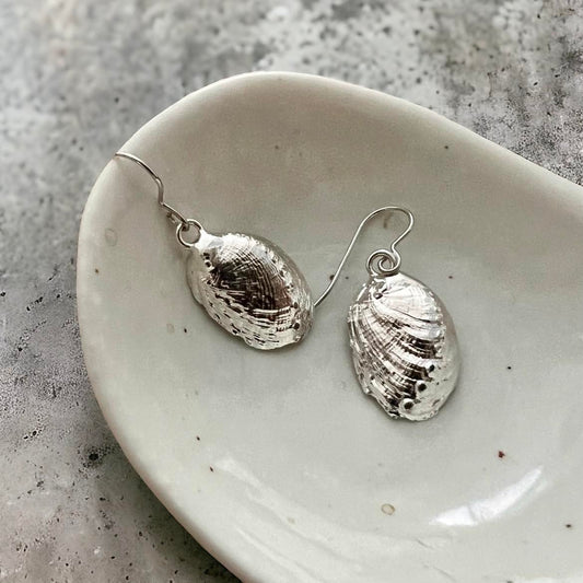 Paua Shell Small Metal Dipped Hook Earrings