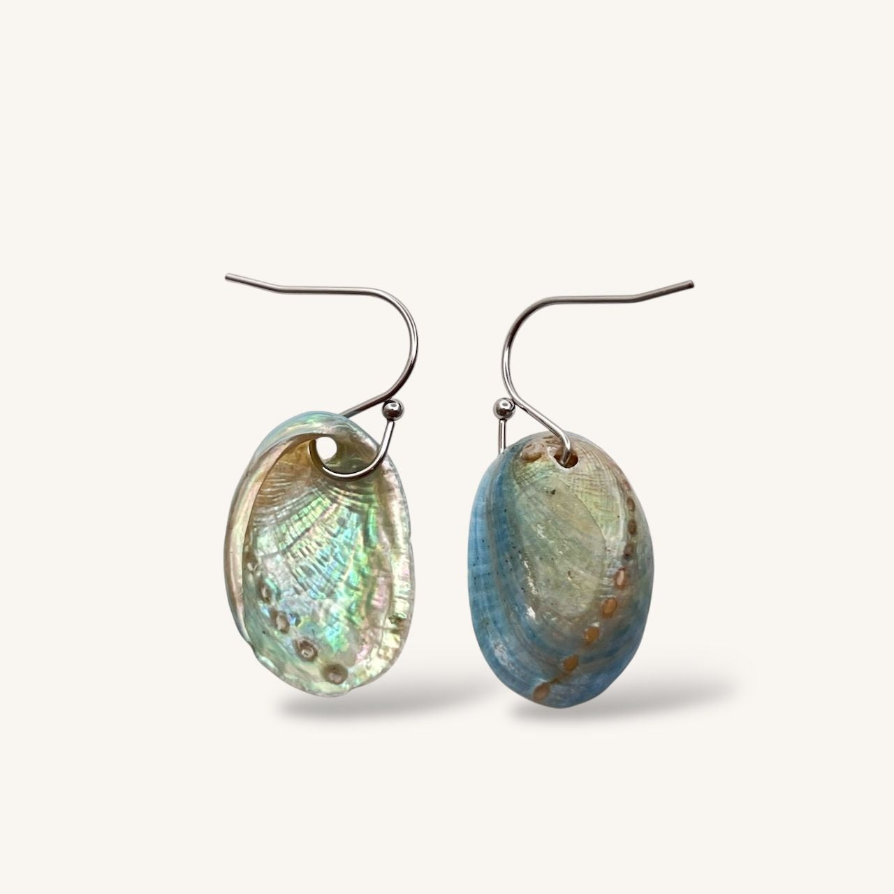 Farm Paua Shell 20-30mm French Hook Earrings (Surgical Steel)