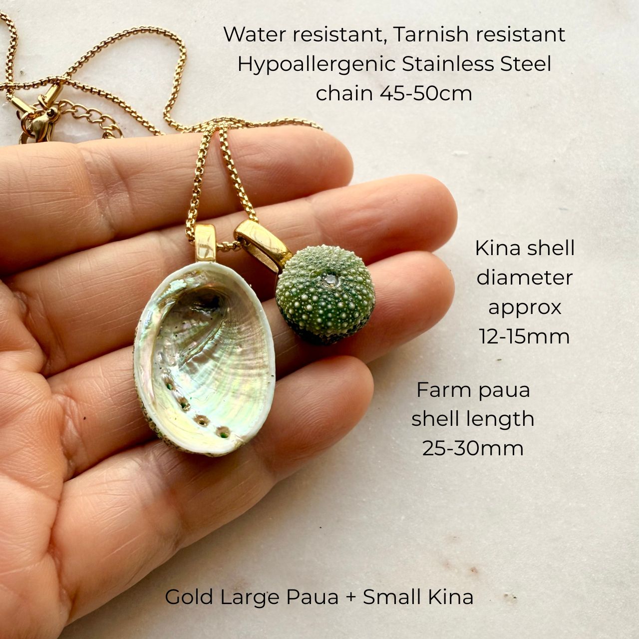 Paua & Kina Shell Pair Necklace (BEST SELLER)