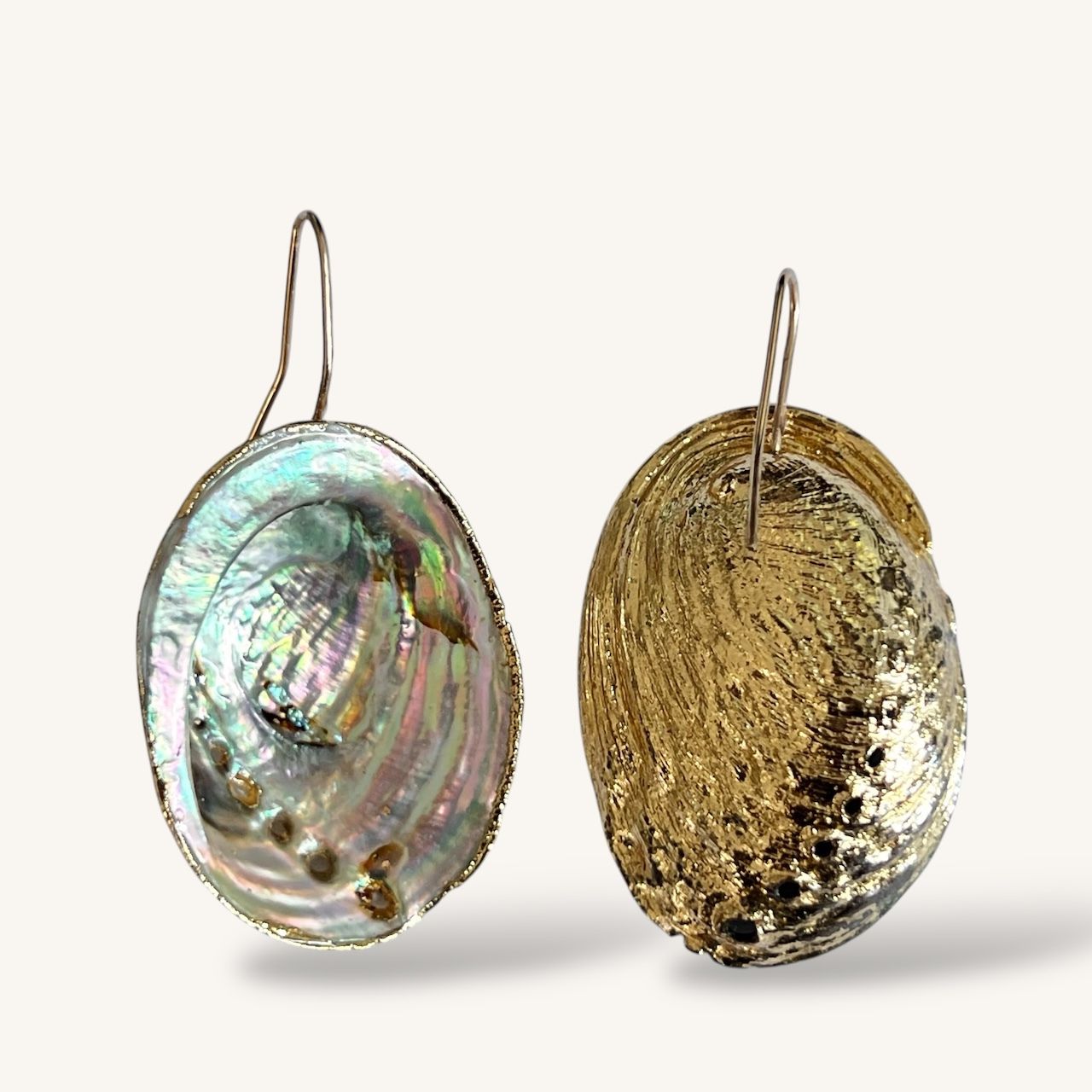 Large Paua Shell Gold Filled U-Hook Earrings