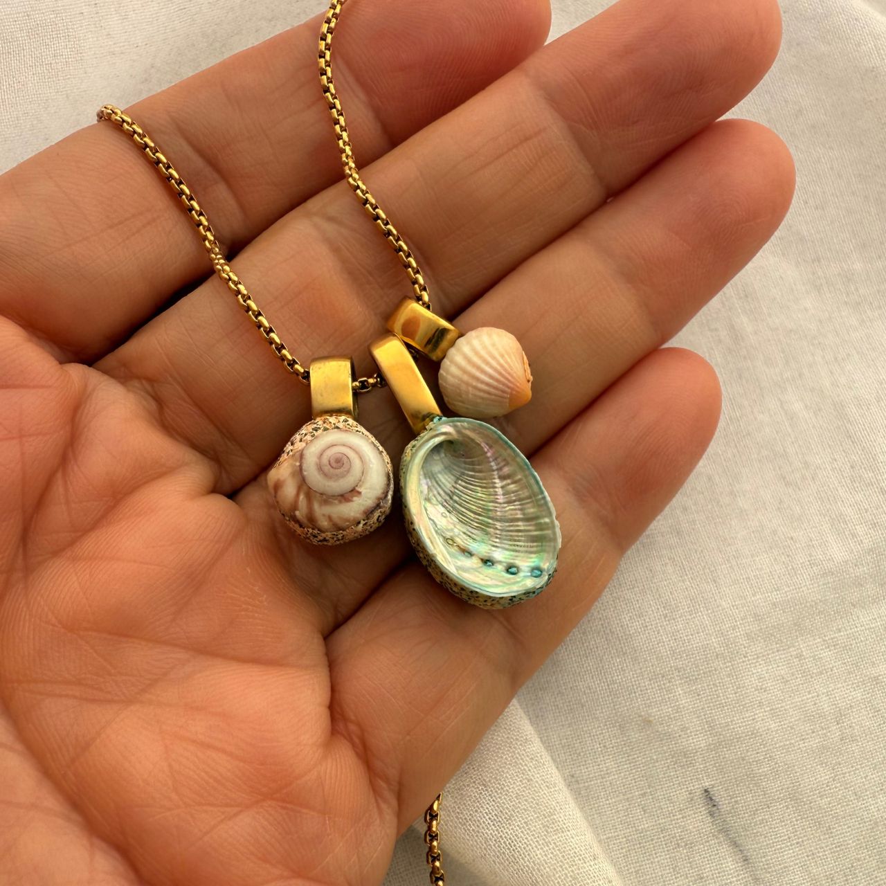 Whānau Shell Story Necklace: Paua, Wheel & Cockle