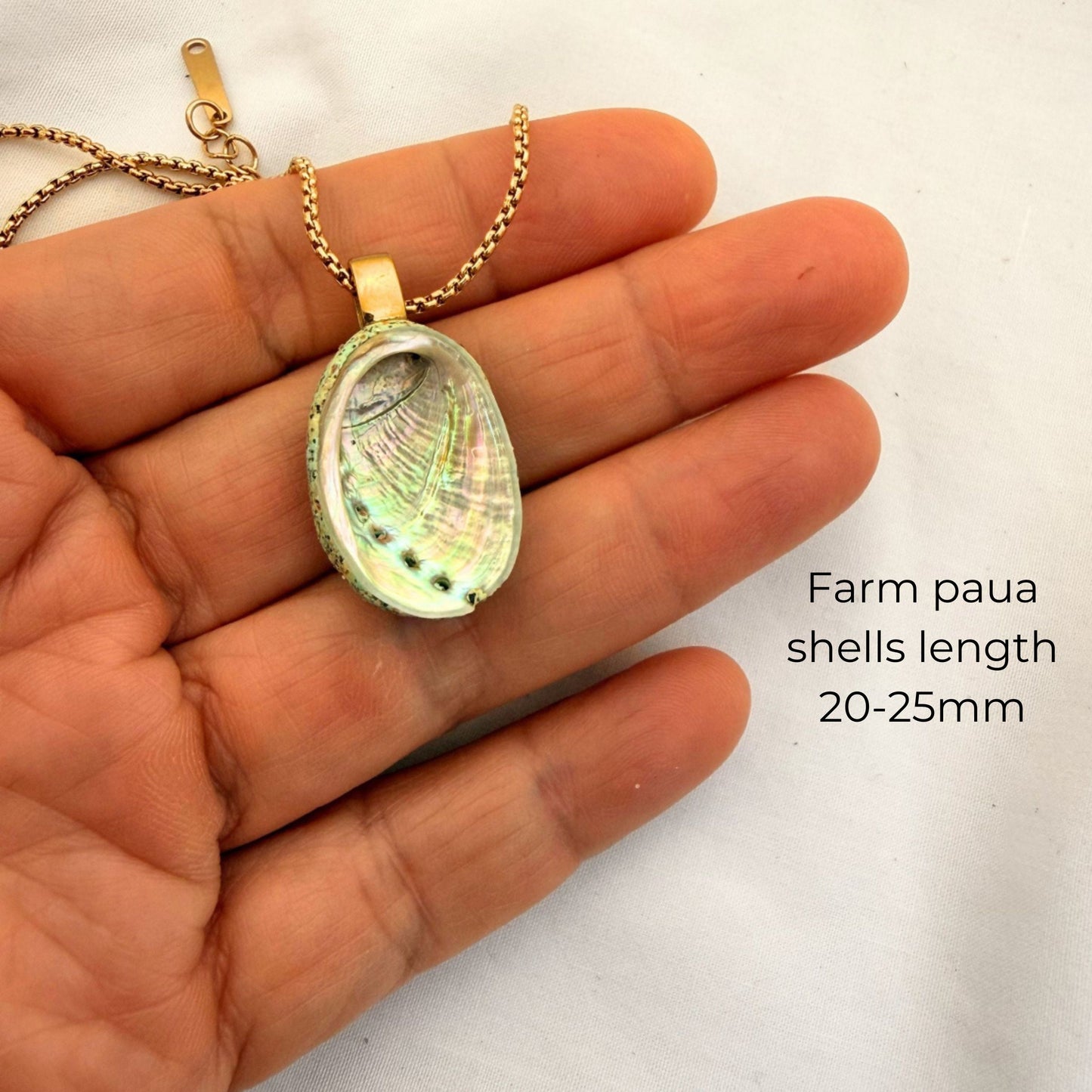 Paua Shell Single Pendant Necklace