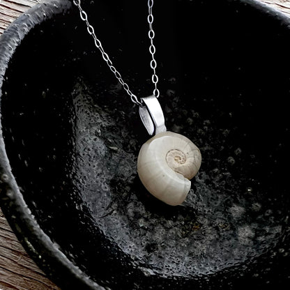 Spirula Ram's Horn Squid Shell Wanderlust Adventure Necklace