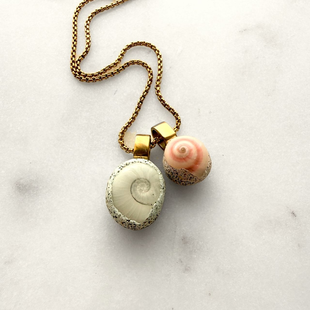 Ram's Horn Squid & Pinwheel Shell Pair Necklace