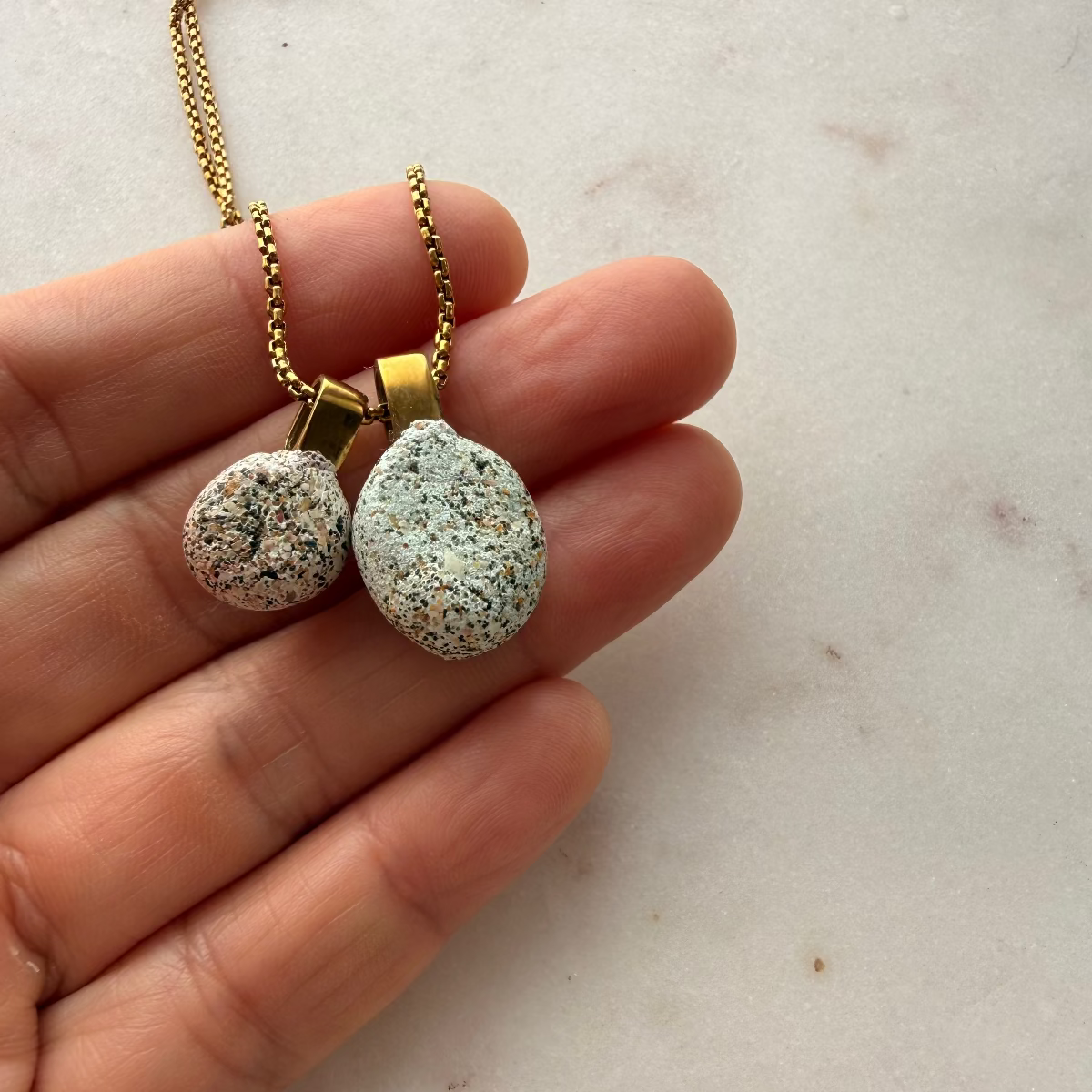 Ram's Horn Squid & Pinwheel Shell Pair Necklace