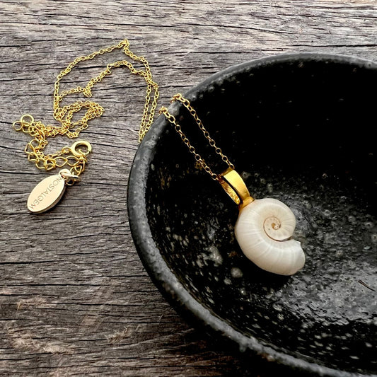 Spirula Ram's Horn Squid Shell Wanderlust Adventure Necklace