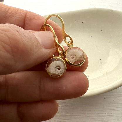 Wanderlust Spirula Shell Round Resin Earrings