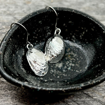 SS16 - Paua Shell Silver Dipped Hook Earrings 20-25mm