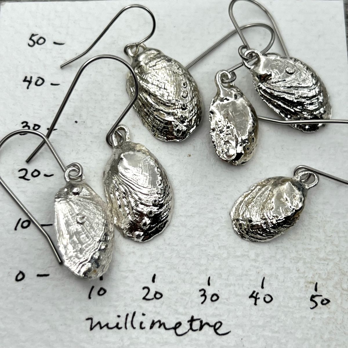 SS16 - Paua Shell Silver Dipped Hook Earrings 20-25mm