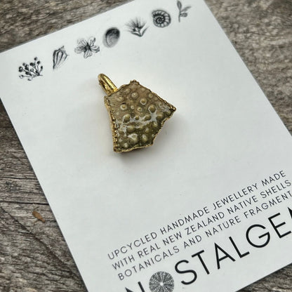 SS30 - Green Kina Shell Gold Pendant