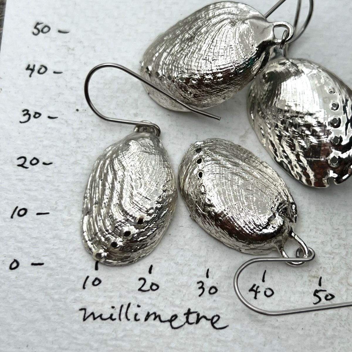 SS33 - Farm Paua Shell (Silver Back) 30-35mm