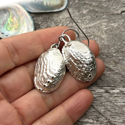 SS33 - Farm Paua Shell (Silver Back) 30-35mm