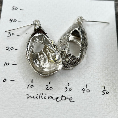 SS38 Weather But Wondrous Oyster Shell Earrings  Silver Dipped