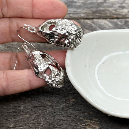 SS38 Weather But Wondrous Oyster Shell Earrings  Silver Dipped