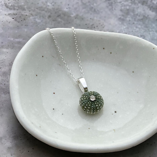 BACKORDER - Tiny Whole Kina Shell Pendant Silver Necklace