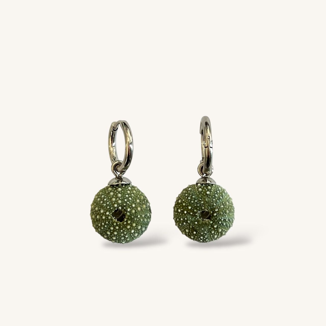 Tiny Whole Kina Sea Urchin Shell Round Hoop Earrings