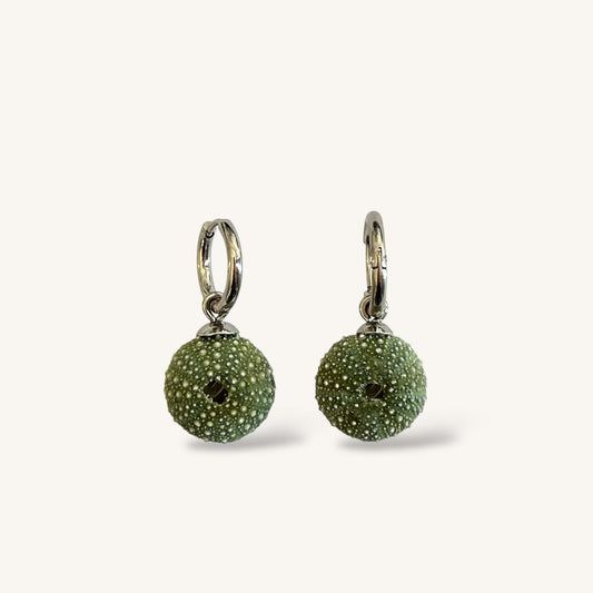 Tiny Whole Kina Sea Urchin Shell Round Hoop Earrings