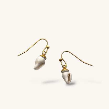 Tiny White Whelk Shell Hook Earrings