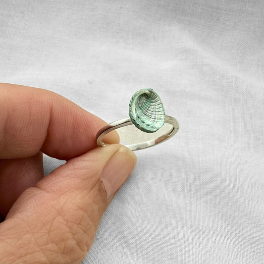 Tiny Paua Shell Sterling Silver Ring