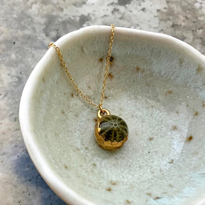 Tiny Whole Kina Shell Pendant Gold Necklace