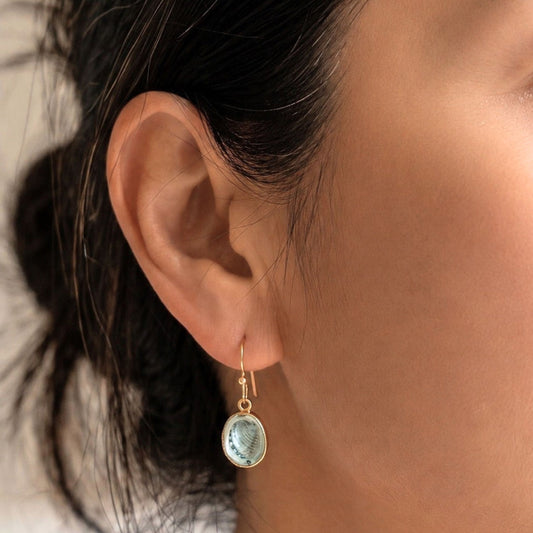 Paua Shell Dangle Hook Earrings